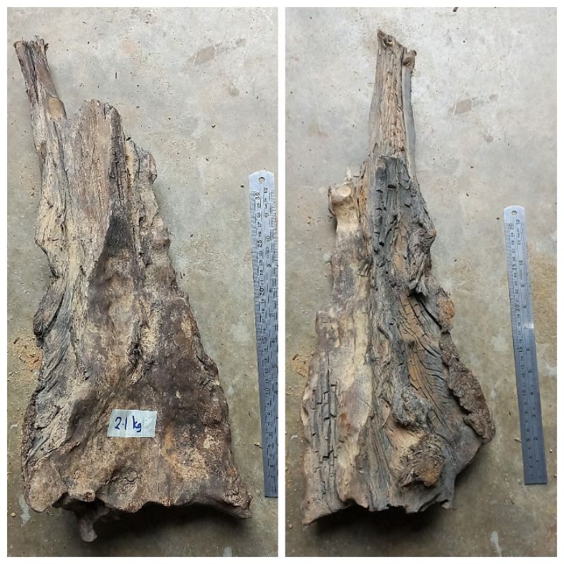 thumbnail interactive-video image 1 of Malaysian Driftwood For Aquascaping – Buy 2 Get 1 Free! Natural Aquarium Wood 1 of 2