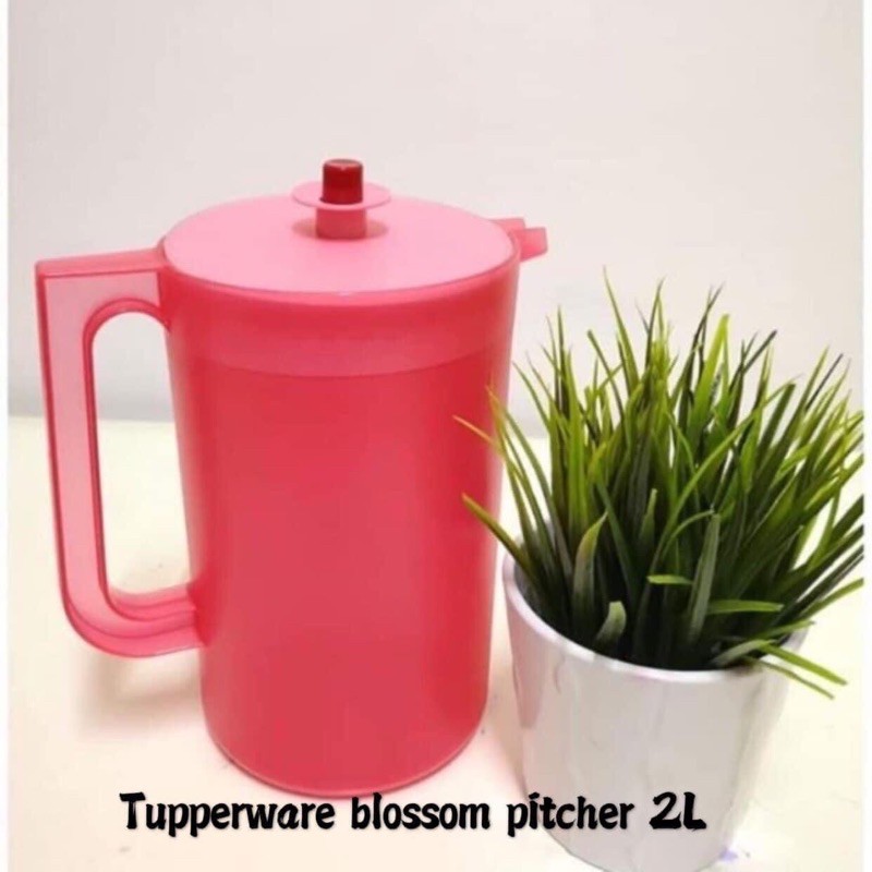 Tupperware Red Bloom Pitcher 2L /Jug Air Tupperware | Shopee Malaysia