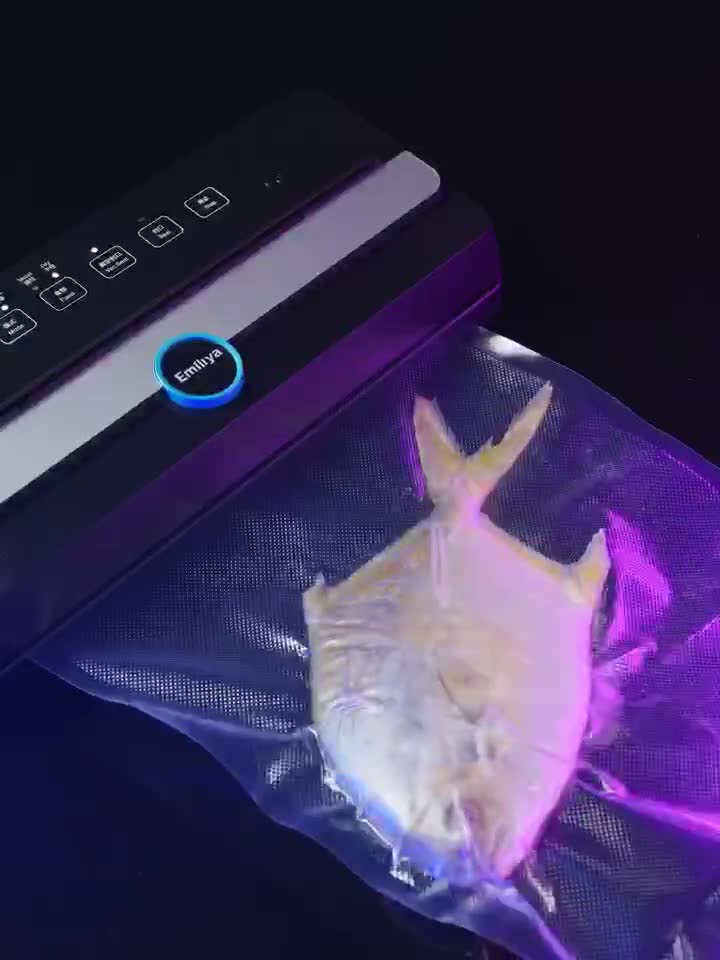 Emiliya Vacuum Sealer Packing Machine For Food Storage Mesin Pembungkusan Pengedap Vakum