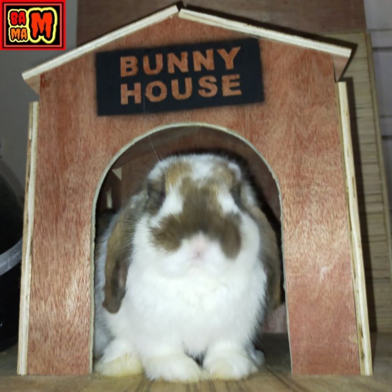 Rabbit Wood Block House/Pet House/Play House/Rumah Arnab/Bunny House ...
