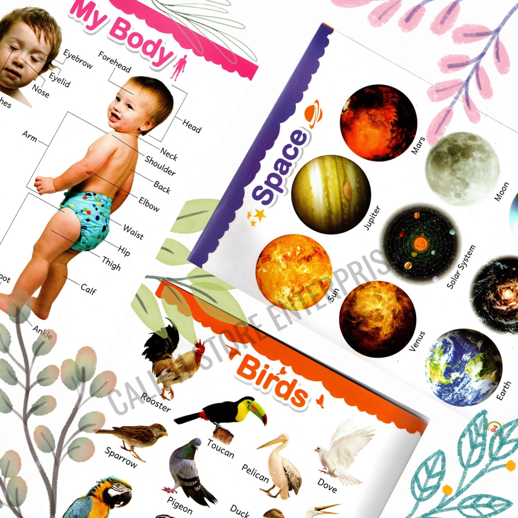 My First 1000 Words Padded Book Hardcover Children Early Learning Full ...