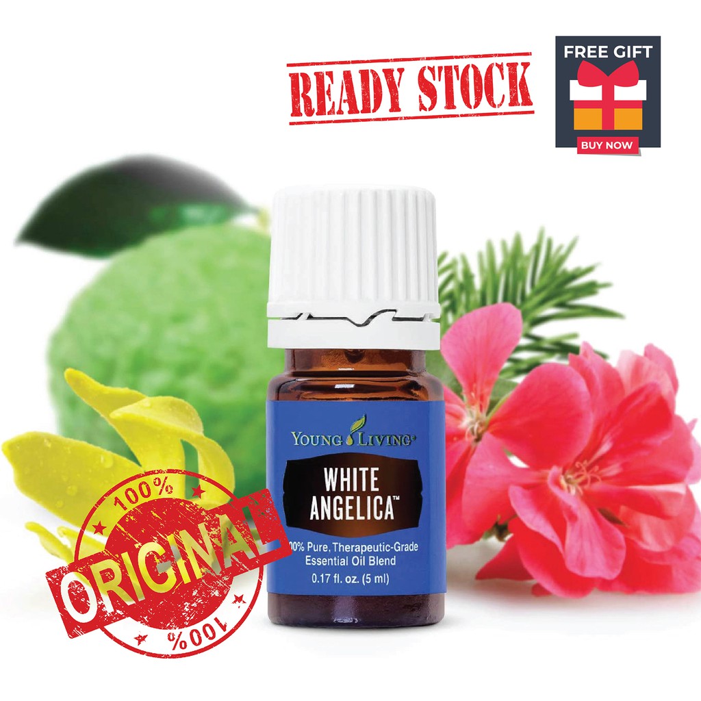 ORIGINAL Young Living (Mfg 2023) White Angelica Essential Oil 5ml ...