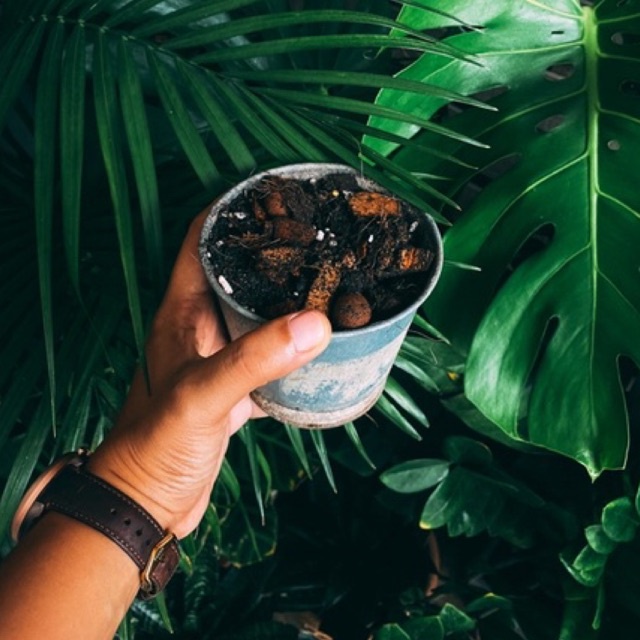 POROUS POTTING SOIL MIX Shopee Malaysia