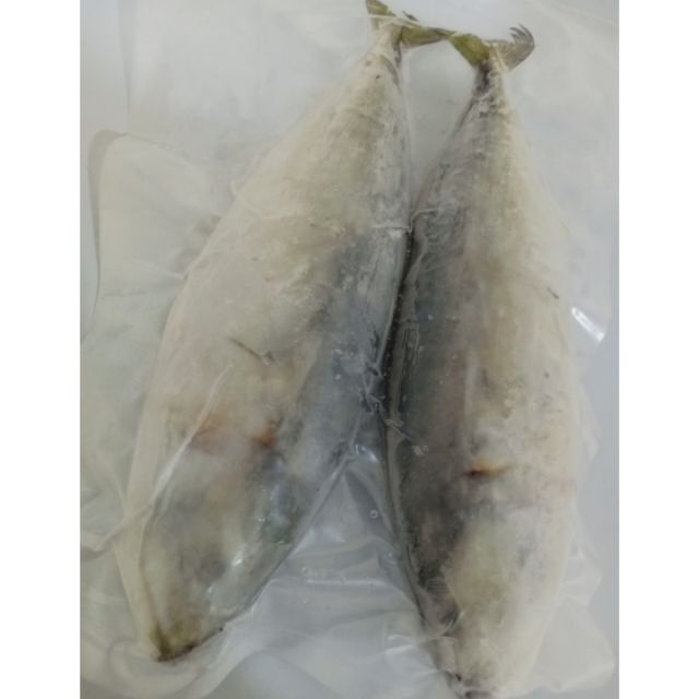 Ikan Kembong ( 2 ekor ) | Shopee Malaysia