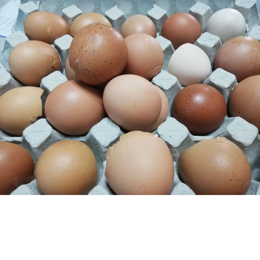 Egg Shell Powder (200g) / 蛋壳粉 (200g) | Shopee Malaysia