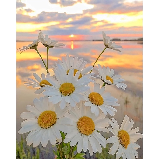 RUOPOTY 60x75cm/50x65cm/40x50cm Frame Coloring By Number Daisy Flower ...