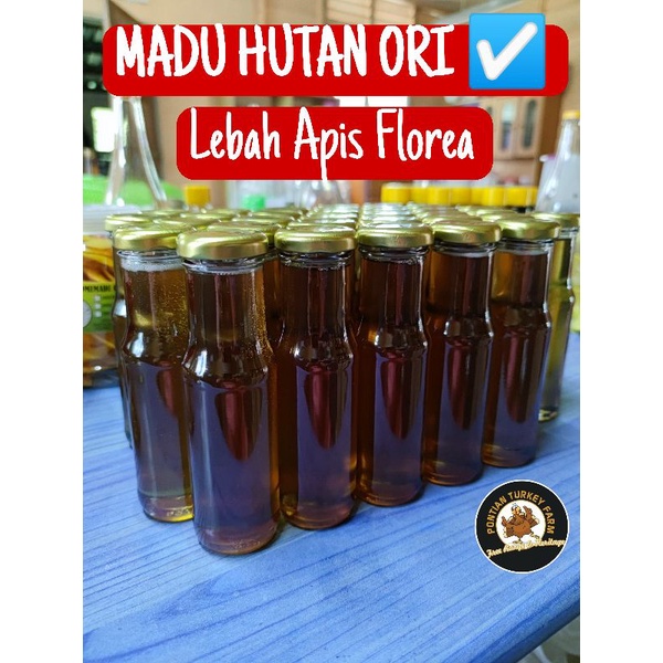 MADU HUTAN ASLI Lebah Apis Florea Shopee Malaysia