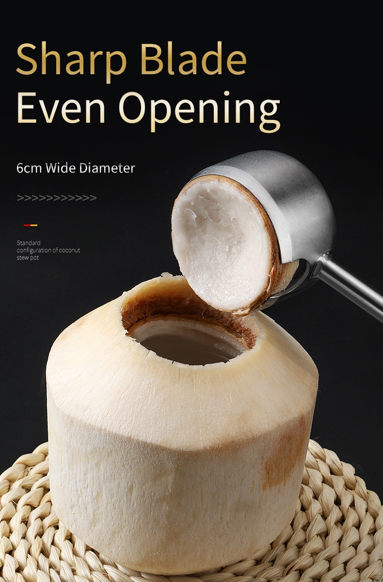 (B15-B17) Coconuts Opening Tool Young & Mature With Hammer Coconuts ...
