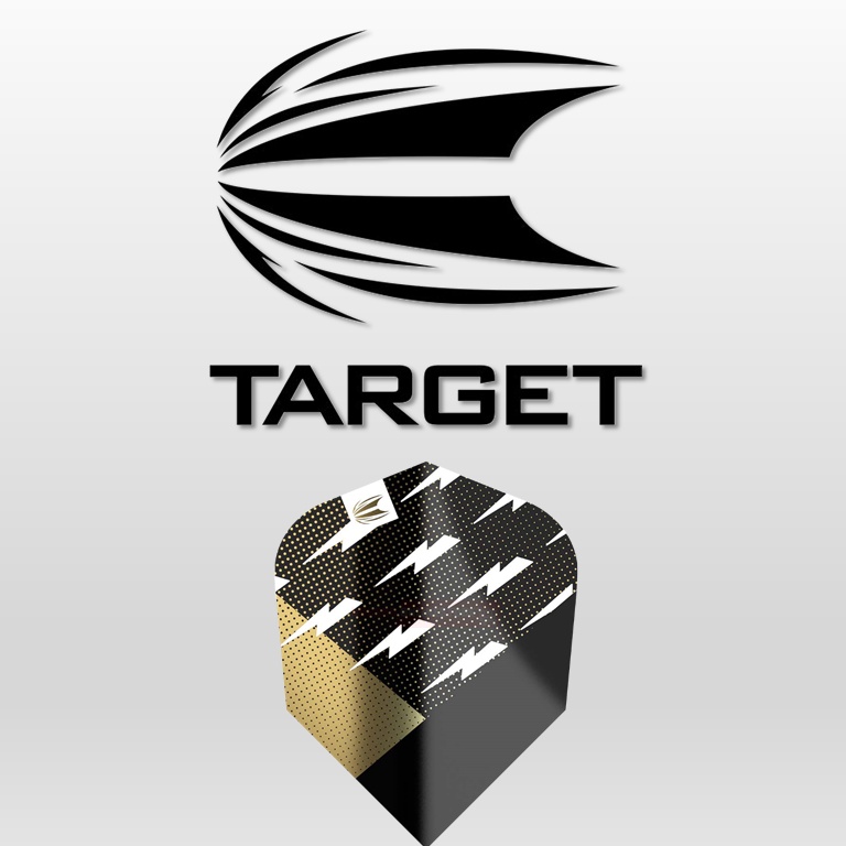 Target Dart Flight Shape No.6 Tenx 100 micron Extra Strong Multicolor