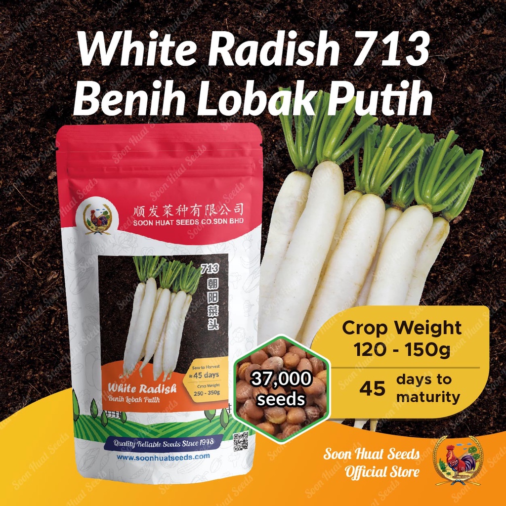 Benih Lobak Putih 713 White Radish Seeds [37 000seeds] 白萝卜種子 Soon Huat