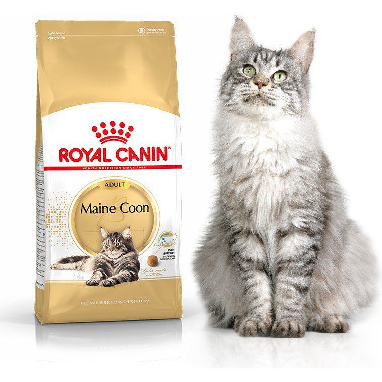 Royal canin 2024 maine coon 12kg