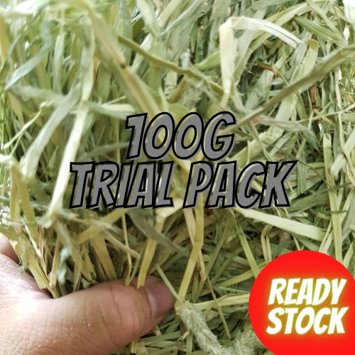 A closer look at Guinea Pig Hay And Fiber Supplement