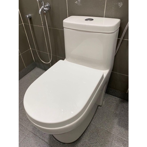 [ own collection only]Water closet one piece washdown /rimless flushing