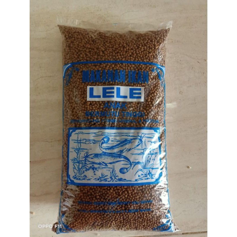 Catfish Feed 1KG Shopee Malaysia