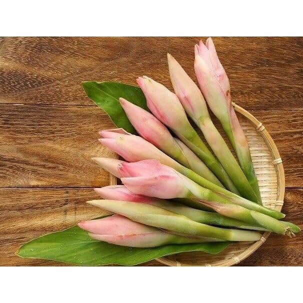 SAYUR Bunga Kantan Fresh Ginger Flower Bunga Laksa 1 kuntum Shopee Malaysia