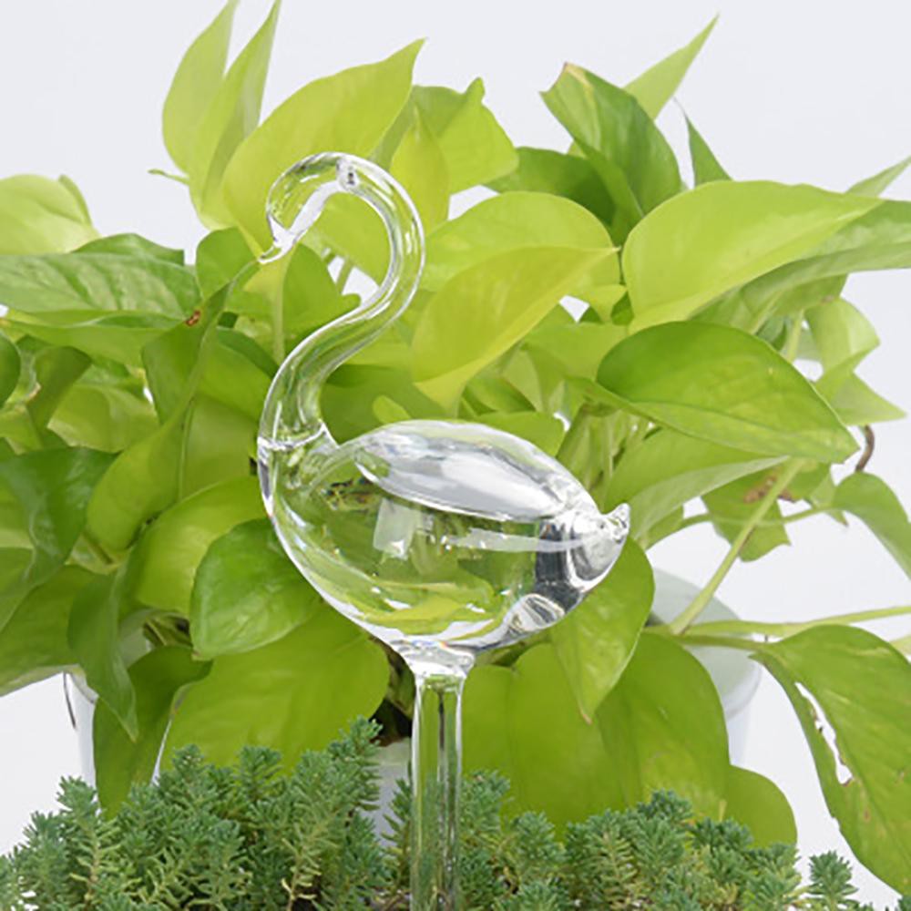 5 Shapes Garden Plants Houseplant Automatic Self Watering Device Glass