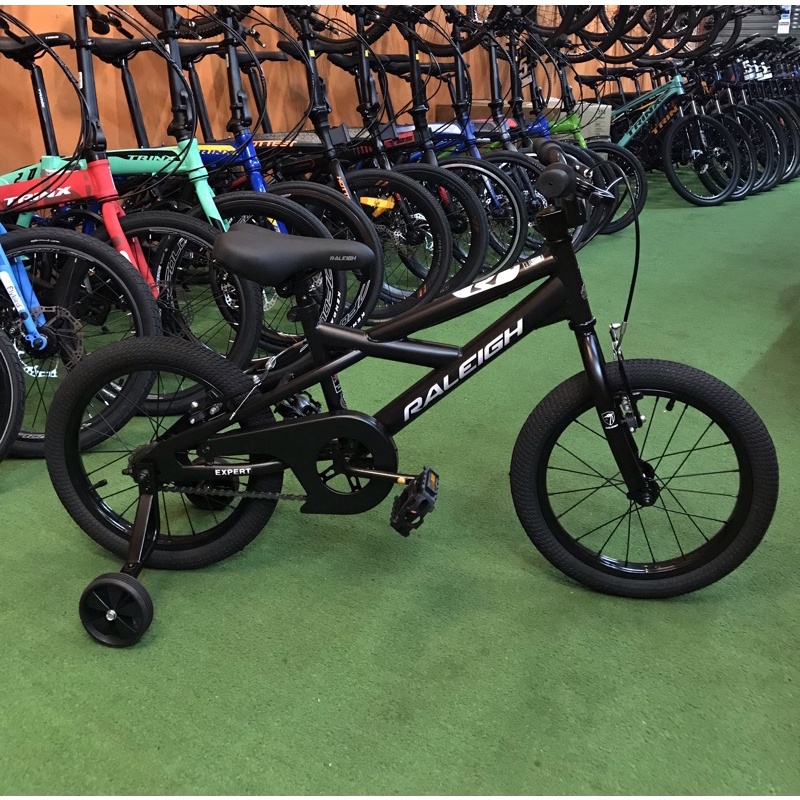 Raleigh best sale junior bikes