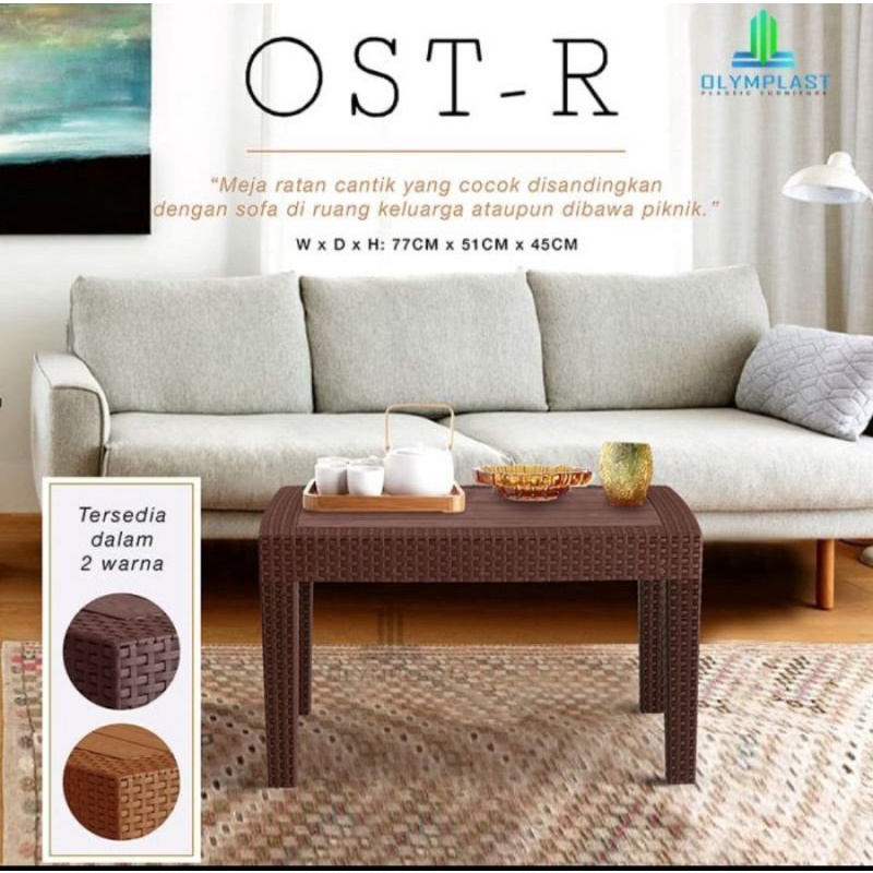 Long Rattan Plastic Guest Table | Shopee Malaysia