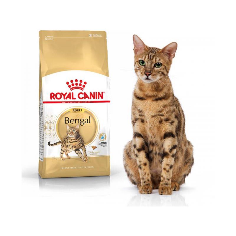 Royal canin bengal 2024 cat food 10kg