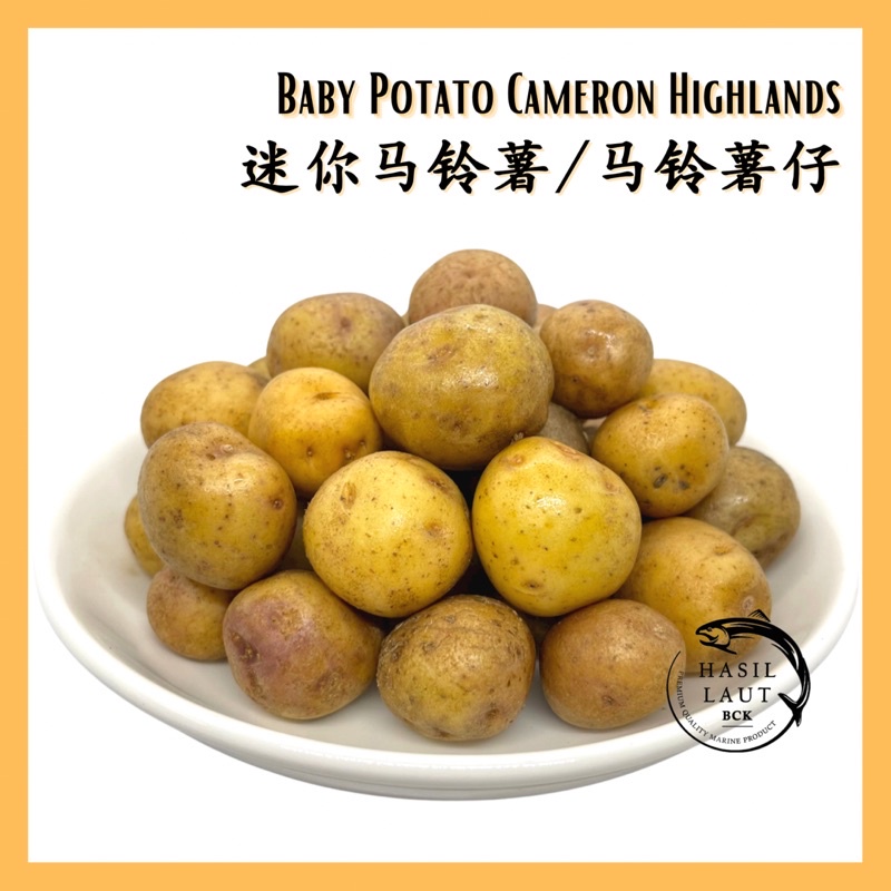 Baby Potato Cameron Highlands 金马伦迷你马铃薯 (500g) | Shopee Malaysia