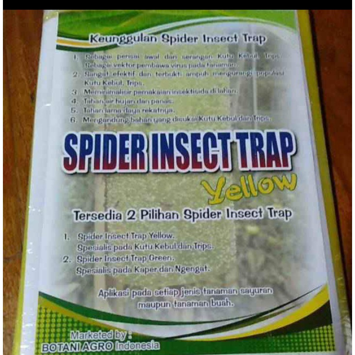 Spider ISECT TRAP/TRAP for whiteflies in the rice fields | Shopee Malaysia