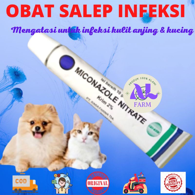 Miconazole ALFARM Dog Cat Skin Infection Ointment Shopee Malaysia