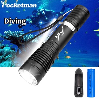 Buy waterproof flashlight divers Online With Best Price, Jan 2024