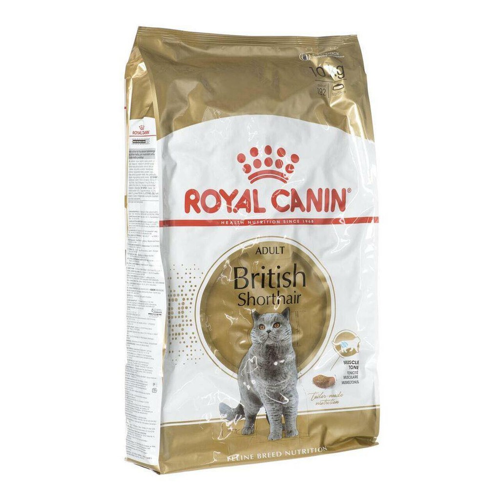 Royal canin 2024 shorthair 10kg