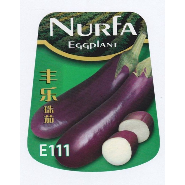 Benih Terung Nurfa Eggplant E111 Star Plant - ( 10g ) 👍 💯 | Shopee Malaysia