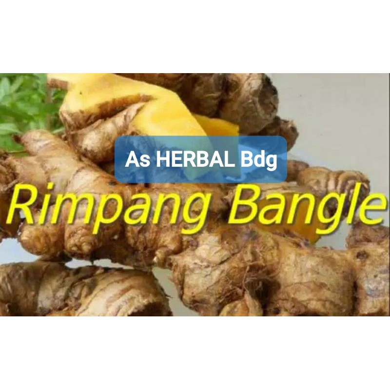 Fresh Bangle Rimpang 1 Kg | Shopee Malaysia