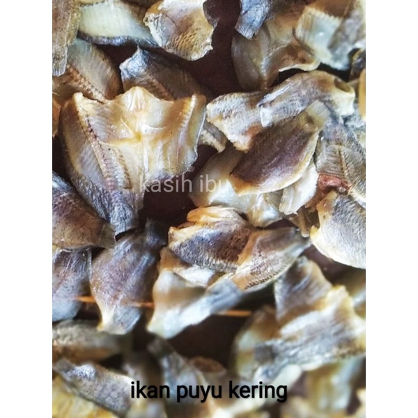 100GRAM IKAN PUYU KERING 🔥🔥 IKAN PUYU KERING 🔥 READY STOK 🔥 READY STOK ...