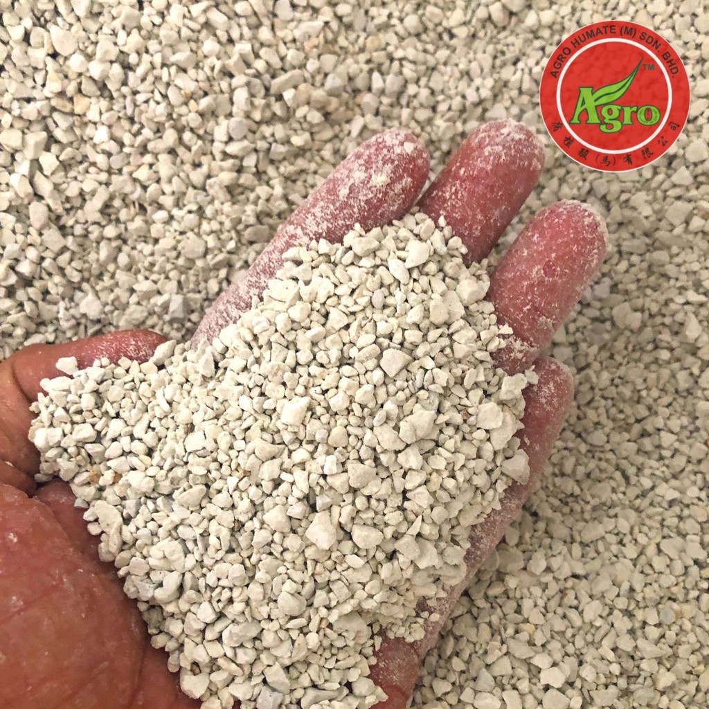 White Zeolite Stone沸石 26 mm ( Succulent Soil / Topping / Mineral aquarium terrarium filter 多肉混土