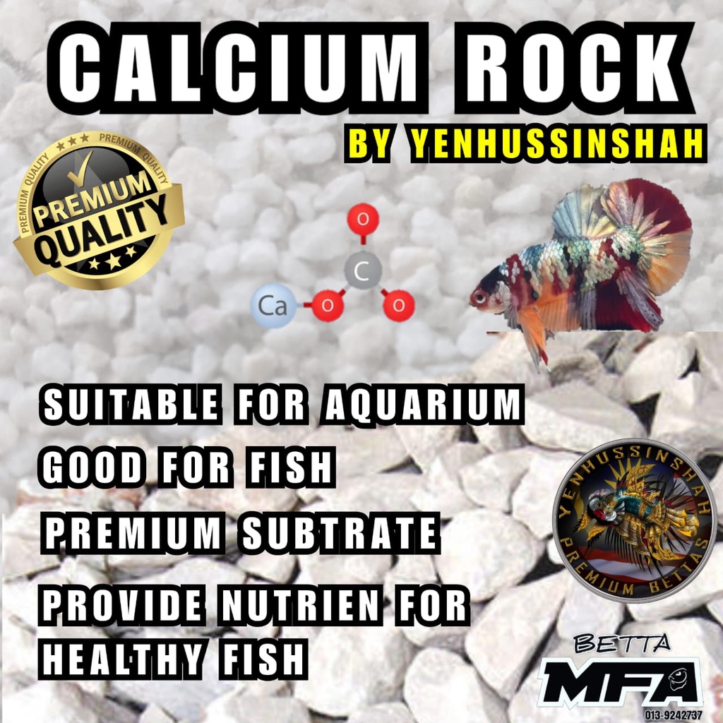 BATU KALSIUM // CALCIUM ROCK BY YENHUSSINSHAH | Shopee Malaysia