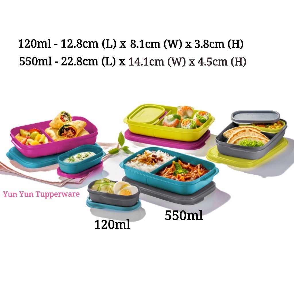 Tupperware Lunch Box/Foodie Buddies