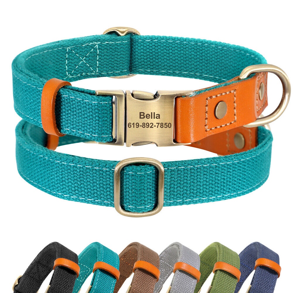 Fashion Custom Dog Pet Cat Collar Nylon Leather Personalised Cat Name ID Collars Heavy Duty Shopee Malaysia