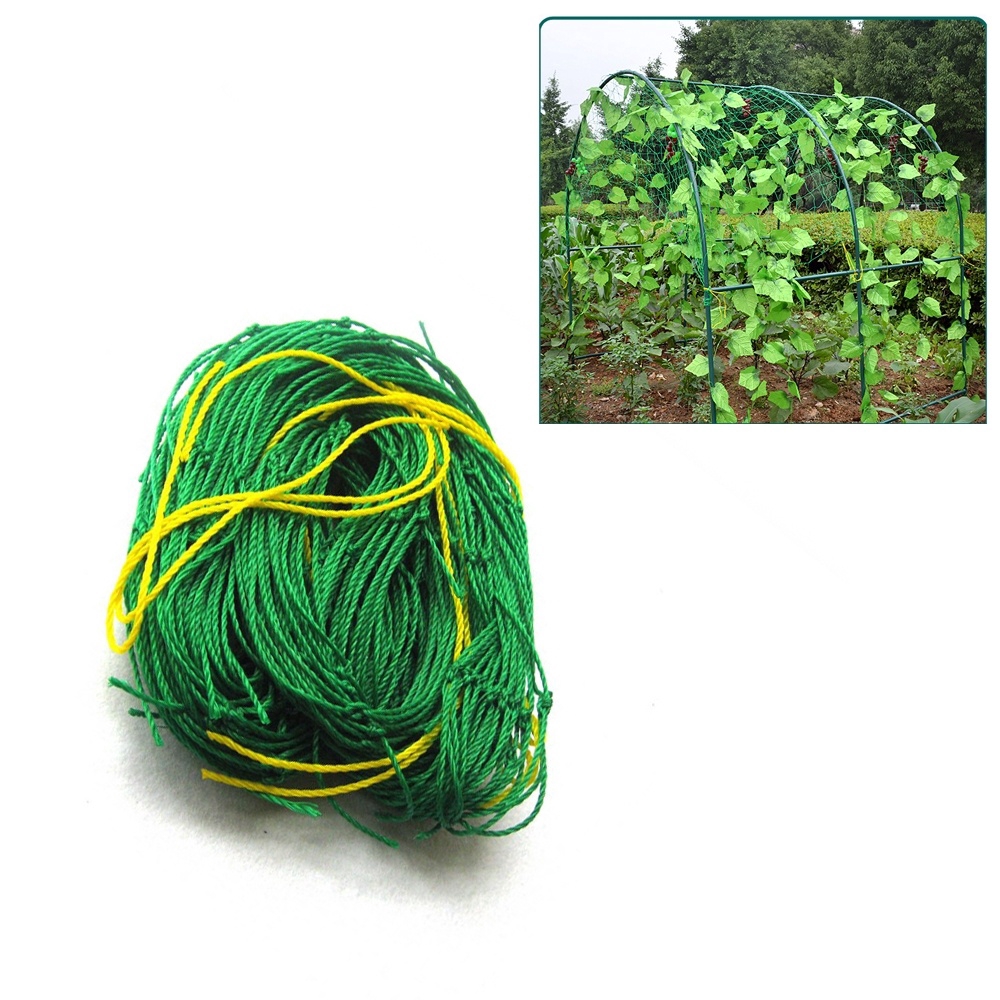Fine Gardening Network Enhanced Version Of The Plant Vine Network Home ...