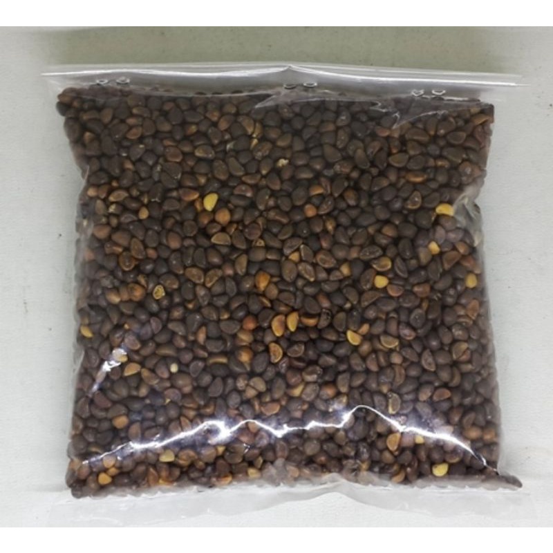 biji benih kangkung sebungkus besar dan sebugkus biji benih ulam raja ...
