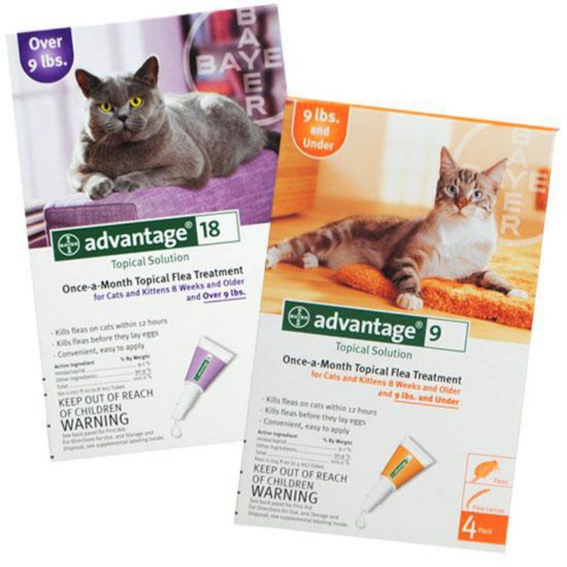 Advantage 2024 cat treatment