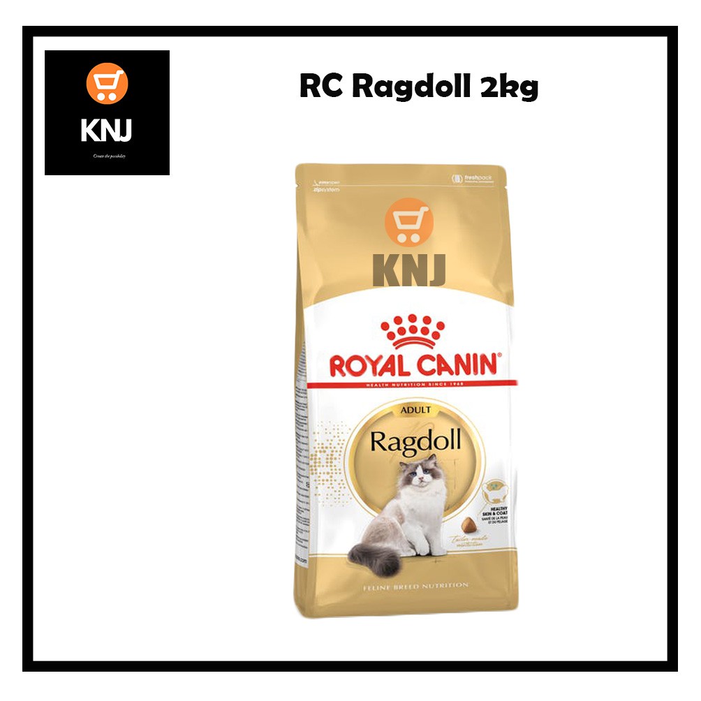 2kg-royal-canin-ragdoll-adult-cat-for-healthy-skin-coat-100