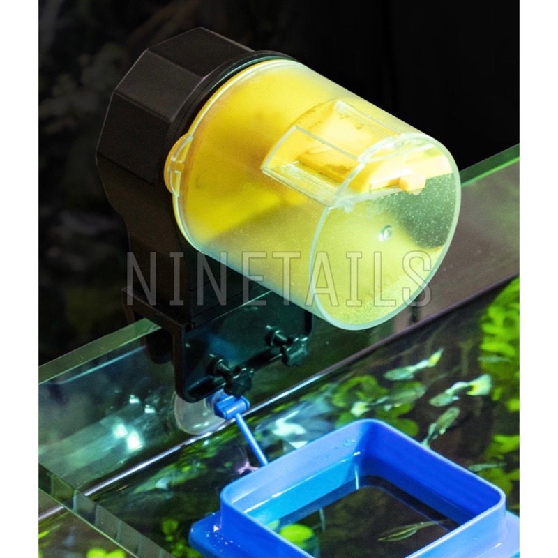 Automatic fish outlet feeder for goldfish