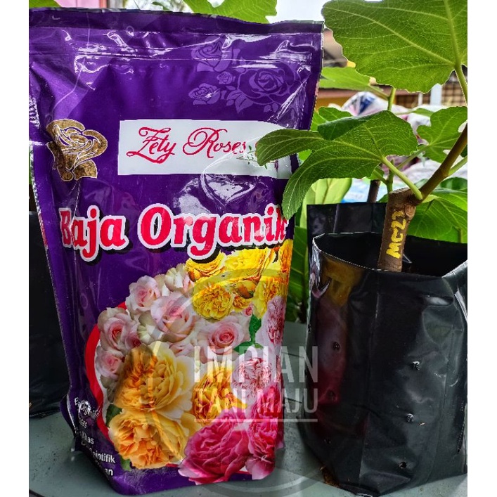 (NEW PACKAGING) 1KG Zetty Rose Baja Organik Subur Viral Tanaman Hiasan ...