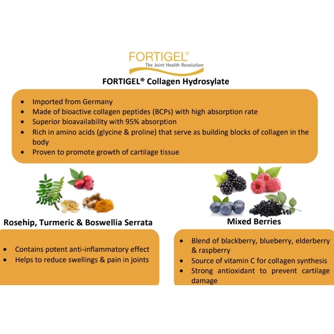 Ascentia OptiFlax Mixed Berries Drink with FORTIGEL Type-2 Collagen ...