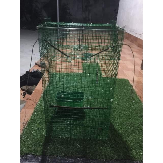 Bird trap cage for automatic piercing Shopee Malaysia
