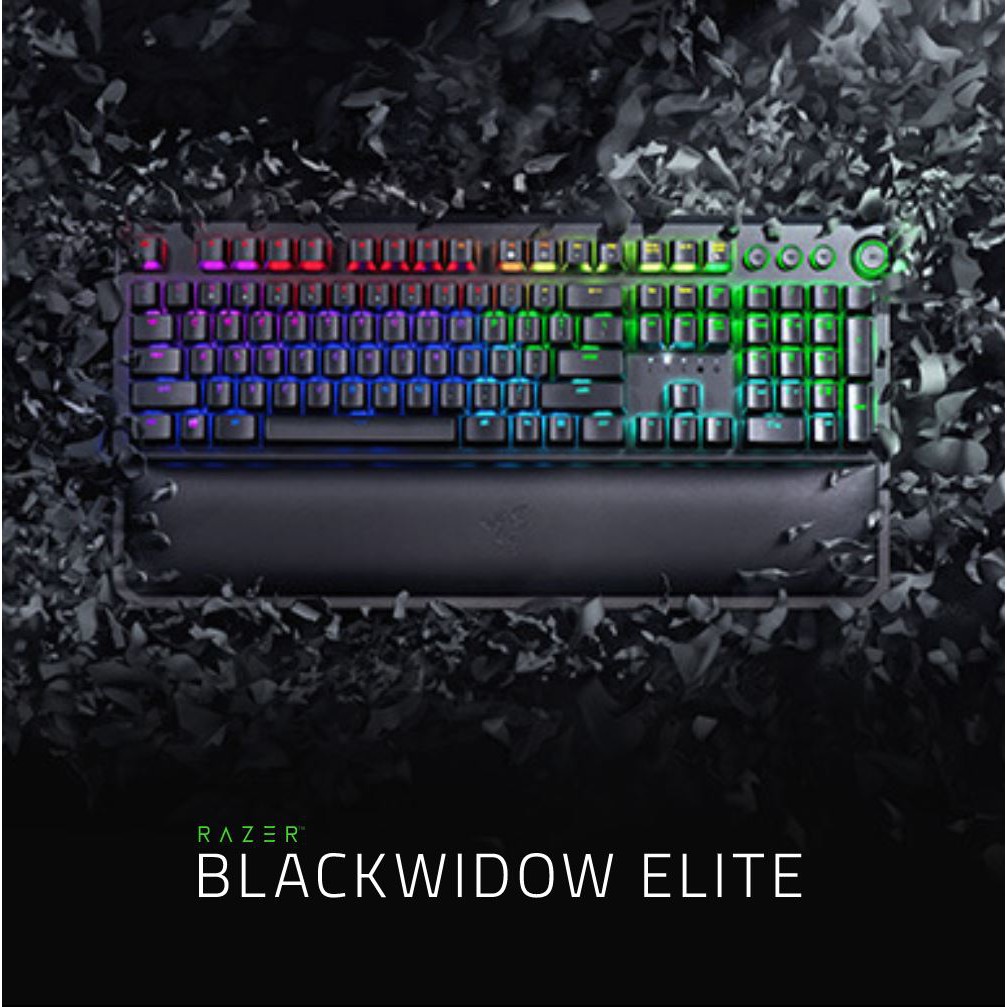 Razer Blackwidow Elite - Green Switch Gaming Keyboard (US Layout ...