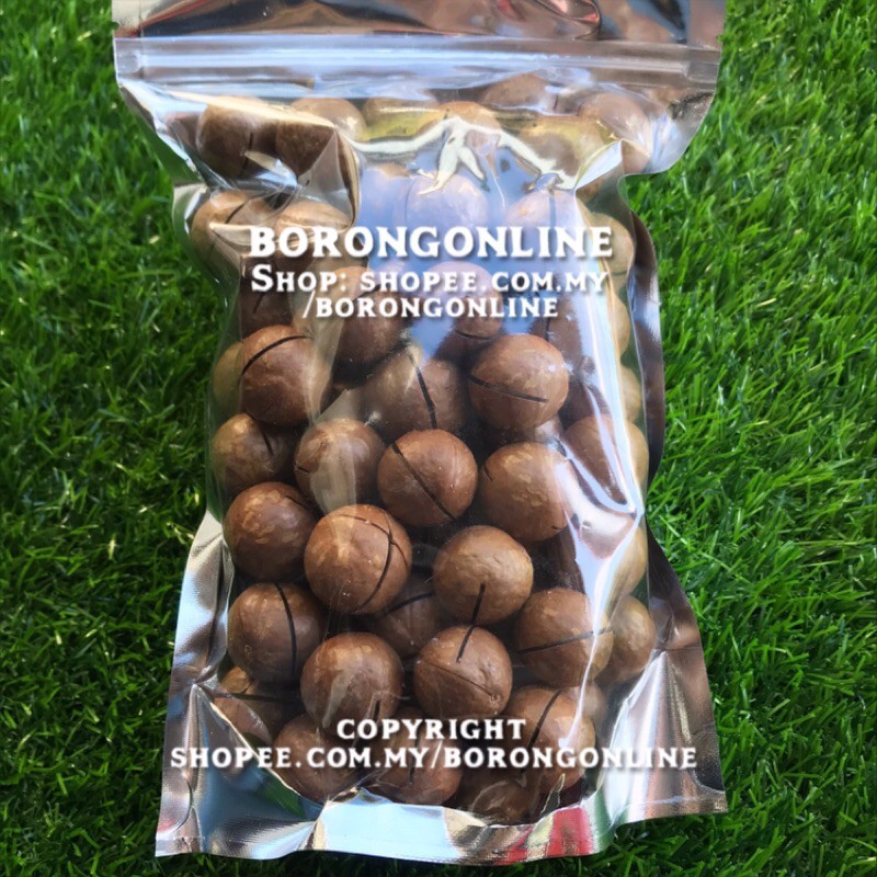 [READYTOEAT] 🥜 Roasted Macadamia Nuts Kacang Loceng Kekacang Halal