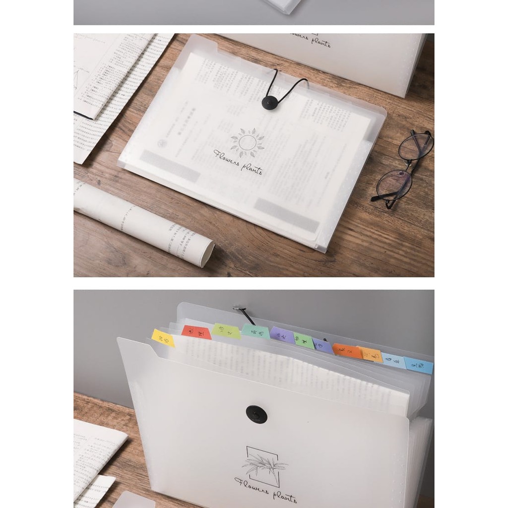 8 & 12 Columns A4-Paper Expanding File Folder Pockets Documents ...