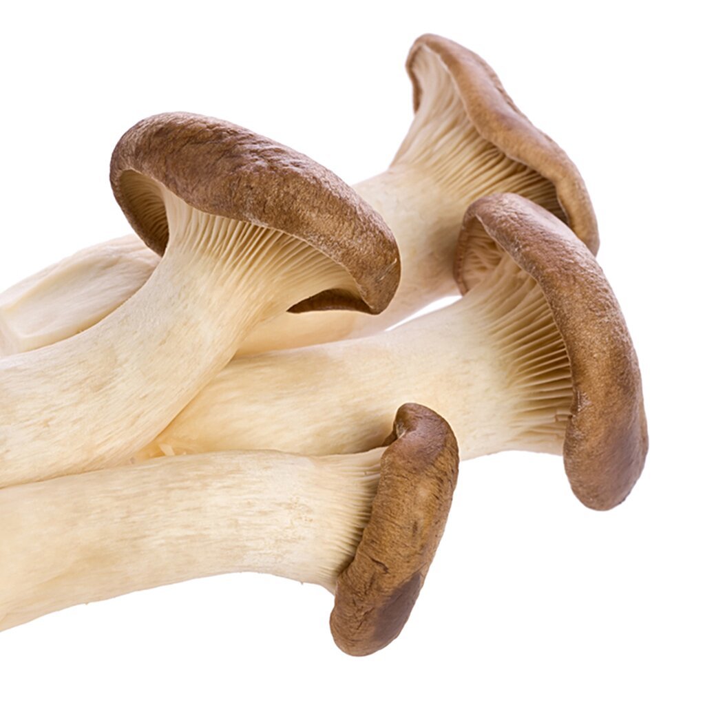 Mushroom Eringi - 1 pkt (200gm) | Shopee Malaysia