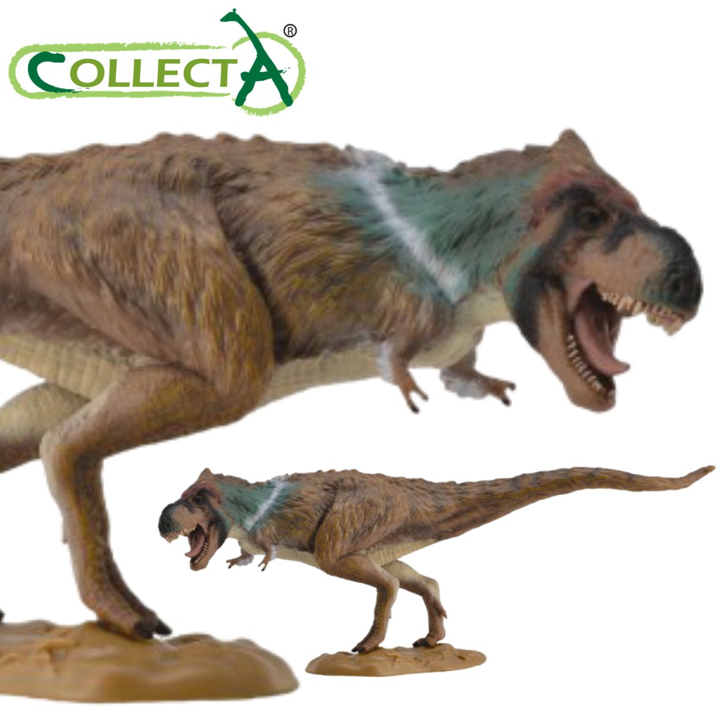 Figurine Tyranosaurus Rex Collecta 2008, Dinosaure Réaliste, Très Bon état