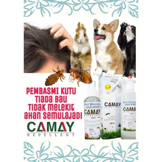 🔥HOT ITEM🔥CAMAY UBAT KUTU RAMBUT MANUSIA, KUTU KUCING, KURAP ARNAB ...