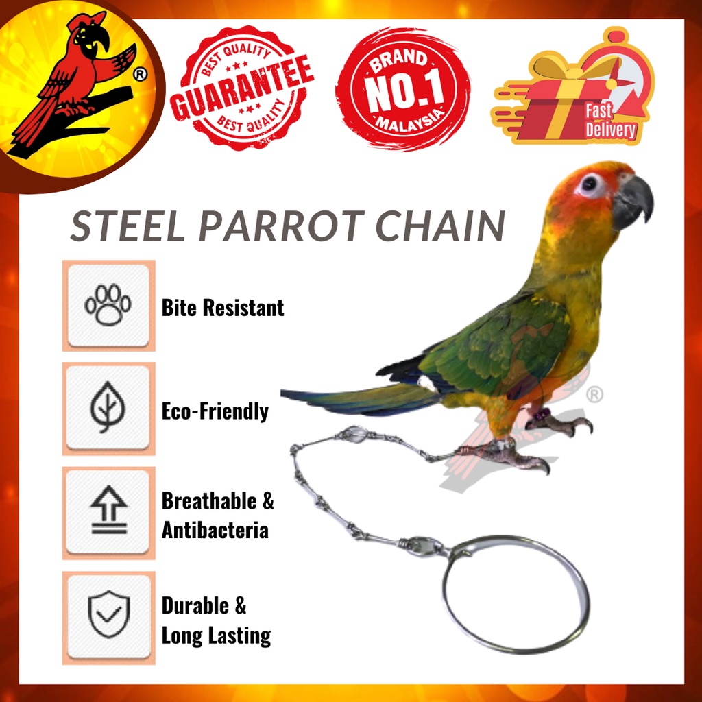 MPT Parrot Leg Chain Parrot Chain Bird Chain Gelang Kaki Burung Bird ...